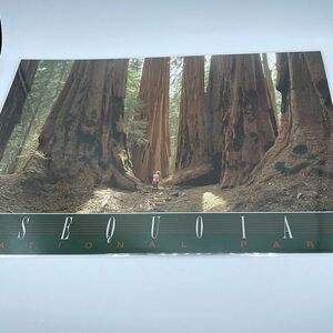 Vintage Souvenir placemat 2 sided  Kings Canyon Sequoia  N.P.